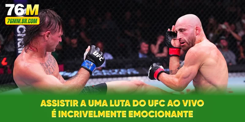 Assistir a uma luta do UFC ao vivo é incrivelmente emocionante