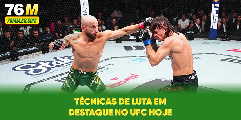 Técnicas de luta em destaque no UFC hoje
